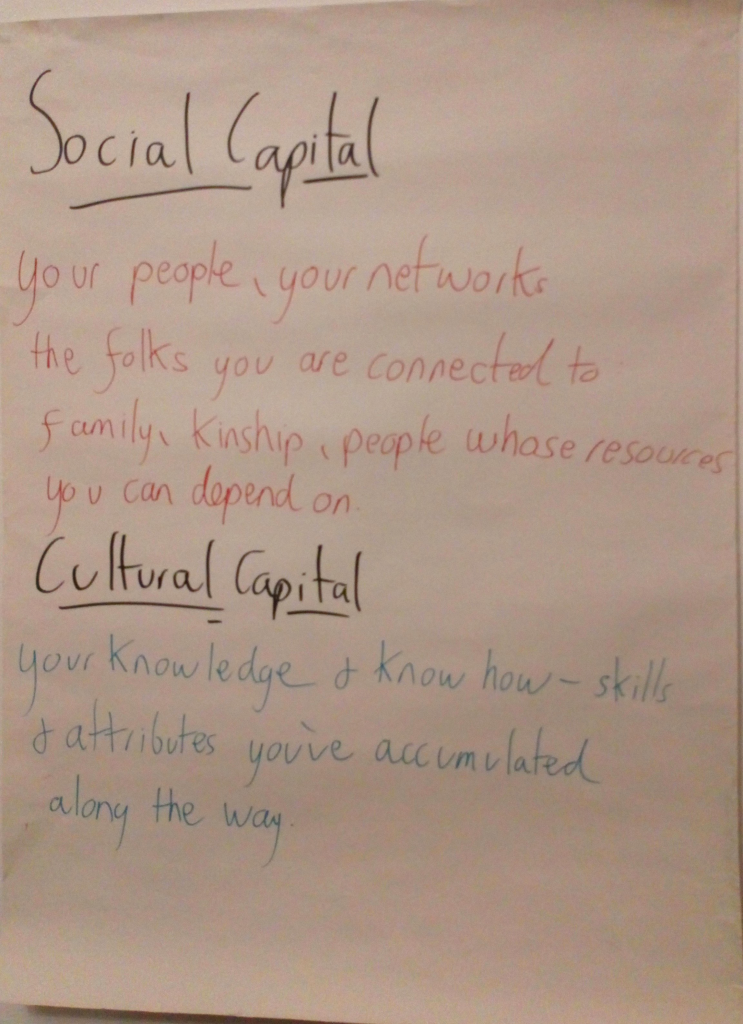 Social Capital: your people, your networks, the folks you are connected to, family, kinship, people whose resources you can depend on.
Cultural Capital: your knowledge & know how- skills & attributes you've accumulated along the way.